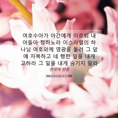 Picture 07 - 여호수아 7:19 KOR - 여호수아가 아간에게 이르되 내 - Bible Verse Picture