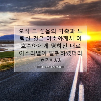 Picture 07 - 여호수아 8:27 KOR - 오직 그 성읍의 가축과 노략한 것은 - Bible Verse Picture