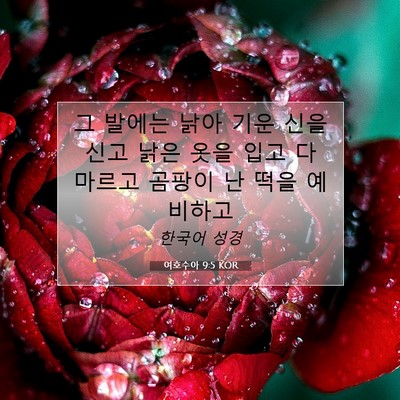 Picture 07 - 여호수아 9:5 KOR - 그 발에는 낡아 기운 신을 신고 낡은 - Bible Verse Picture