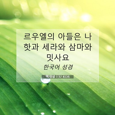 Picture 07 - 역대상 1:37 KOR - 르우엘의 아들은 나핫과 세라와 - Bible Verse Picture