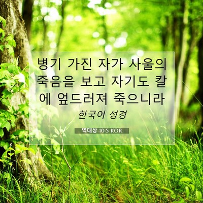 Picture 07 - 역대상 10:5 KOR - 병기 가진 자가 사울의 죽음을 보고 - Bible Verse Picture