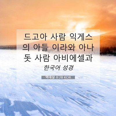 Picture 07 - 역대상 11:28 KOR - 드고아 사람 익게스의 아들 이라와 - Bible Verse Picture