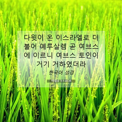 Picture 07 - 역대상 11:4 KOR - 다윗이 온 이스라엘로 더불어 - Bible Verse Picture