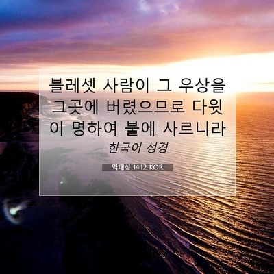 Picture 07 - 역대상 14:12 KOR - 블레셋 사람이 그 우상을 그곳에 - Bible Verse Picture