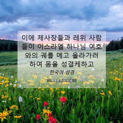 Picture 07 - 역대상 15:14 KOR - 이에 제사장들과 레위 사람들이 - Bible Verse Picture