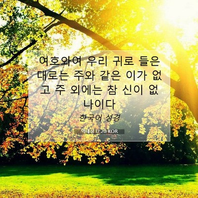 Picture 07 - 역대상 17:20 KOR - 여호와여 우리 귀로 들은 대로는 - Bible Verse Picture