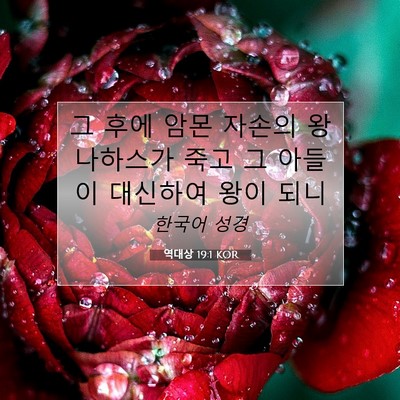 Picture 07 - 역대상 19:1 KOR - 그 후에 암몬 자손의 왕 나하스가 - Bible Verse Picture