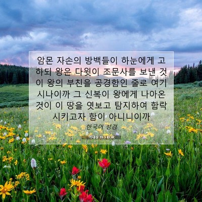 Picture 07 - 역대상 19:3 KOR - 암몬 자손의 방백들이 하눈에게 - Bible Verse Picture