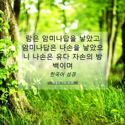 Picture 07 - 역대상 2:10 KOR - 람은 암미나답을 낳았고 암미나답은 - Bible Verse Picture