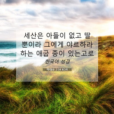 Picture 07 - 역대상 2:34 KOR - 세산은 아들이 없고 딸 뿐이라 - Bible Verse Picture