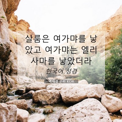 Picture 07 - 역대상 2:41 KOR - 살룸은 여가먀를 낳았고 여가먀는 - Bible Verse Picture