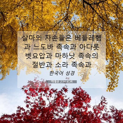 Picture 07 - 역대상 2:54 KOR - 살마의 자손들은 베들레헴과 느도바 - Bible Verse Picture
