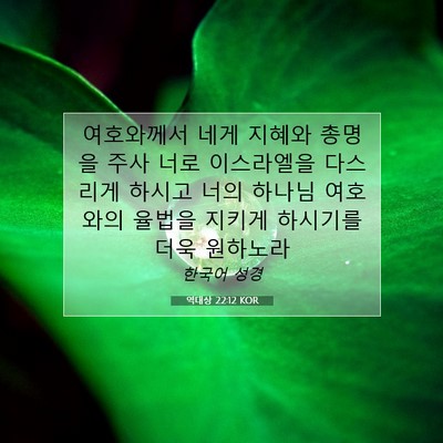 Picture 07 - 역대상 22:12 KOR - 여호와께서 네게 지혜와 총명을 주사 - Bible Verse Picture