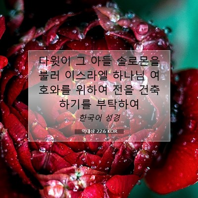 Picture 07 - 역대상 22:6 KOR - 다윗이 그 아들 솔로몬을 불러 - Bible Verse Picture