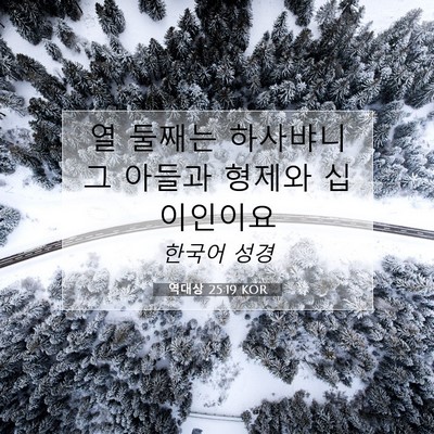 Picture 07 - 역대상 25:19 KOR - 열 둘째는 하사뱌니 그 아들과 - Bible Verse Picture