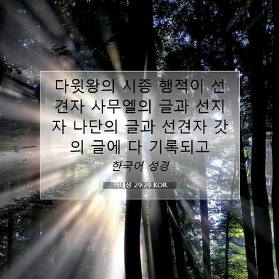 Picture 07 - 역대상 29:29 KOR - 다윗왕의 시종 행적이 선견자 - Bible Verse Picture