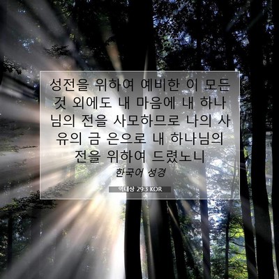 Picture 07 - 역대상 29:3 KOR - 성전을 위하여 예비한 이 모든 것 - Bible Verse Picture
