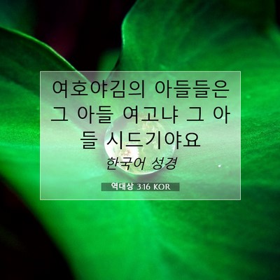 Picture 07 - 역대상 3:16 KOR - 여호야김의 아들들은 그 아들 여고냐 - Bible Verse Picture