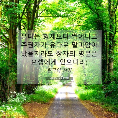 Picture 07 - 역대상 5:2 KOR - 유다는 형제보다 뛰어나고 주권자가 - Bible Verse Picture