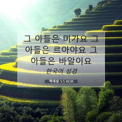 Picture 07 - 역대상 5:5 KOR - 그 아들은 미가요 그 아들은 - Bible Verse Picture