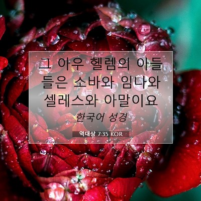 Picture 07 - 역대상 7:35 KOR - 그 아우 헬렘의 아들들은 소바와 - Bible Verse Picture