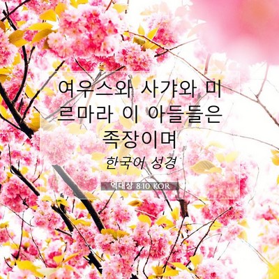 Picture 07 - 역대상 8:10 KOR - 여우스와 사갸와 미르마라 이 - Bible Verse Picture