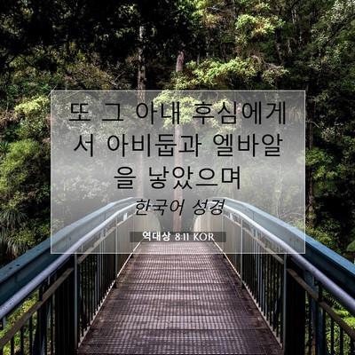 Picture 07 - 역대상 8:11 KOR - 또 그 아내 후심에게서 아비둡과 - Bible Verse Picture
