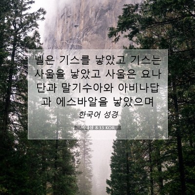 Picture 07 - 역대상 8:33 KOR - 넬은 기스를 낳았고 기스는 사울을 - Bible Verse Picture