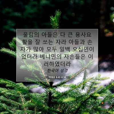 Picture 07 - 역대상 8:40 KOR - 울람의 아들은 다 큰 용사요 활을 잘 - Bible Verse Picture