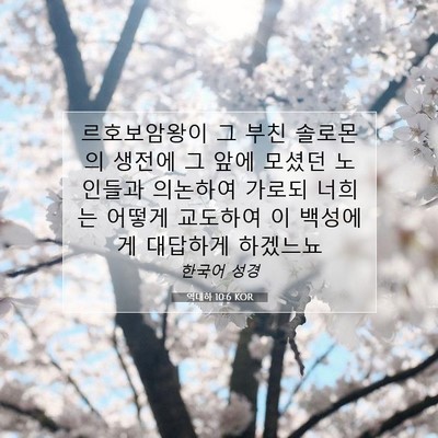 Picture 07 - 역대하 10:6 KOR - 르호보암왕이 그 부친 솔로몬의 - Bible Verse Picture