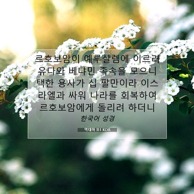 Picture 07 - 역대하 11:1 KOR - 르호보암이 예루살렘에 이르러 - Bible Verse Picture