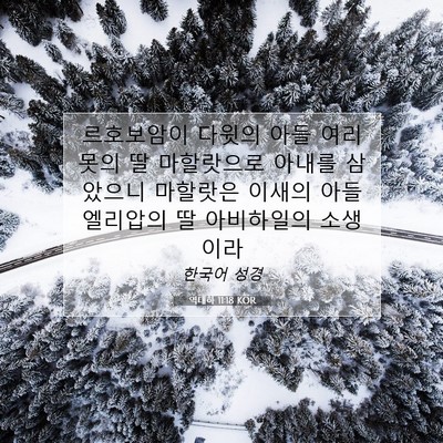 Picture 07 - 역대하 11:18 KOR - 르호보암이 다윗의 아들 여리못의 딸 - Bible Verse Picture