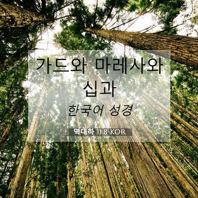 Picture 07 - 역대하 11:8 KOR - 가드와 마레사와 - Bible Verse Picture