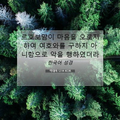 Picture 07 - 역대하 12:14 KOR - 르호보암이 마음을 오로지하여 - Bible Verse Picture