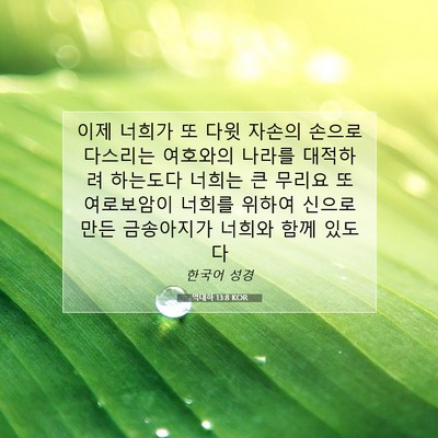 Picture 07 - 역대하 13:8 KOR - 이제 너희가 또 다윗 자손의 손으로 - Bible Verse Picture