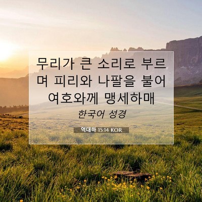 Picture 07 - 역대하 15:14 KOR - 무리가 큰 소리로 부르며 피리와 - Bible Verse Picture