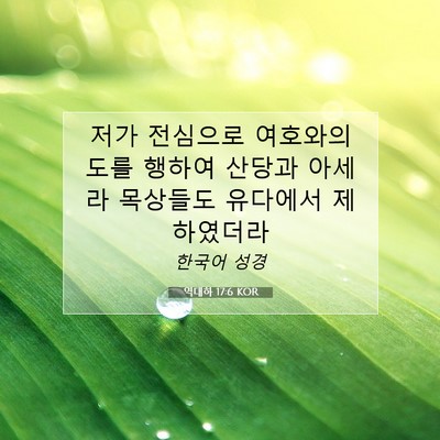 Picture 07 - 역대하 17:6 KOR - 저가 전심으로 여호와의 도를 행하여 - Bible Verse Picture