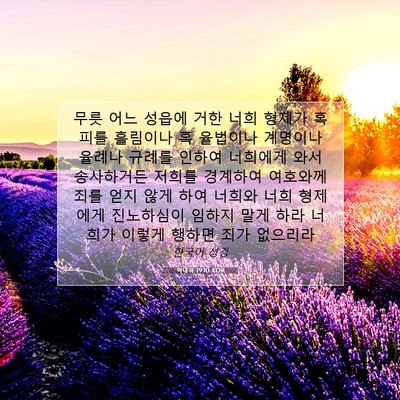 Picture 07 - 역대하 19:10 KOR - 무릇 어느 성읍에 거한 너희 형제가 - Bible Verse Picture