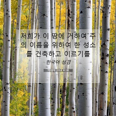 Picture 07 - 역대하 20:8 KOR - 저희가 이 땅에 거하여 주의 이름을 - Bible Verse Picture
