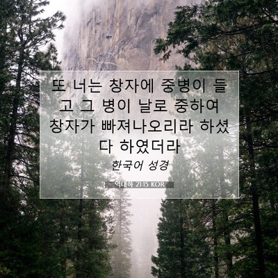 Picture 07 - 역대하 21:15 KOR - 또 너는 창자에 중병이 들고 그 병이 - Bible Verse Picture