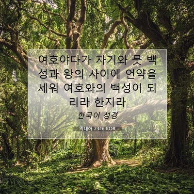 Picture 07 - 역대하 23:16 KOR - 여호야다가 자기와 뭇 백성과 왕의 - Bible Verse Picture
