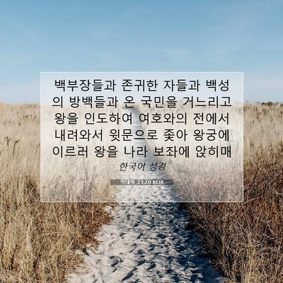 Picture 07 - 역대하 23:20 KOR - 백부장들과 존귀한 자들과 백성의 - Bible Verse Picture