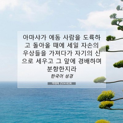 Picture 07 - 역대하 25:14 KOR - 아마샤가 에돔 사람을 도륙하고 - Bible Verse Picture