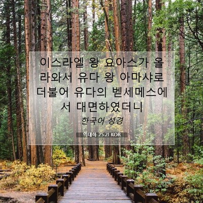Picture 07 - 역대하 25:21 KOR - 이스라엘 왕 요아스가 올라와서 유다 - Bible Verse Picture
