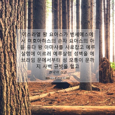 Picture 07 - 역대하 25:23 KOR - 이스라엘 왕 요아스가 벧세메스에서 - Bible Verse Picture
