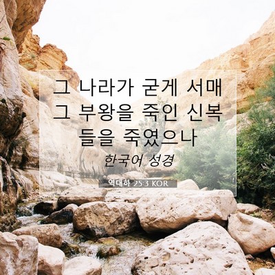 Picture 07 - 역대하 25:3 KOR - 그 나라가 굳게 서매 그 부왕을 죽인 - Bible Verse Picture