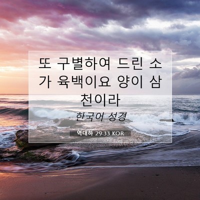 Picture 07 - 역대하 29:33 KOR - 또 구별하여 드린 소가 육백이요 - Bible Verse Picture