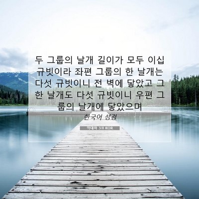 Picture 07 - 역대하 3:11 KOR - 두 그룹의 날개 길이가 모두 이십 - Bible Verse Picture