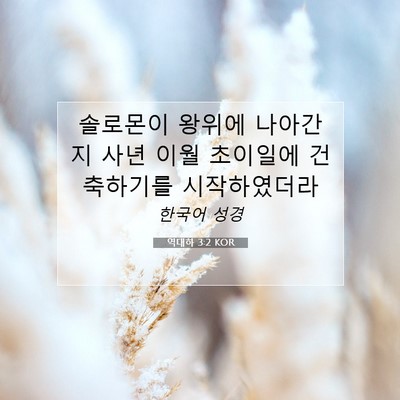 Picture 07 - 역대하 3:2 KOR - 솔로몬이 왕위에 나아간지 사년 이월 - Bible Verse Picture