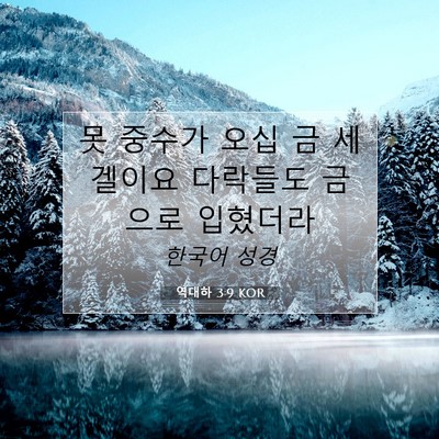 Picture 07 - 역대하 3:9 KOR - 못 중수가 오십 금 세겔이요 - Bible Verse Picture